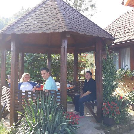 Guesthouse Kuzmanovic Guča Zewnętrze zdjęcie