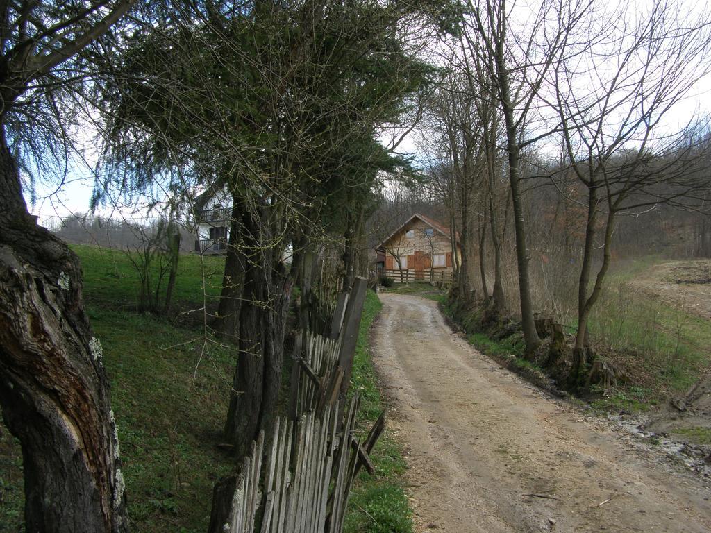 Guesthouse Kuzmanovic Guča Zewnętrze zdjęcie