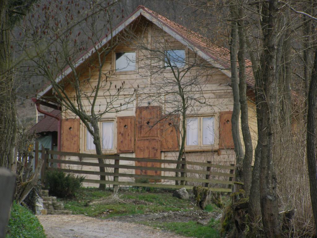 Guesthouse Kuzmanovic Guča Zewnętrze zdjęcie