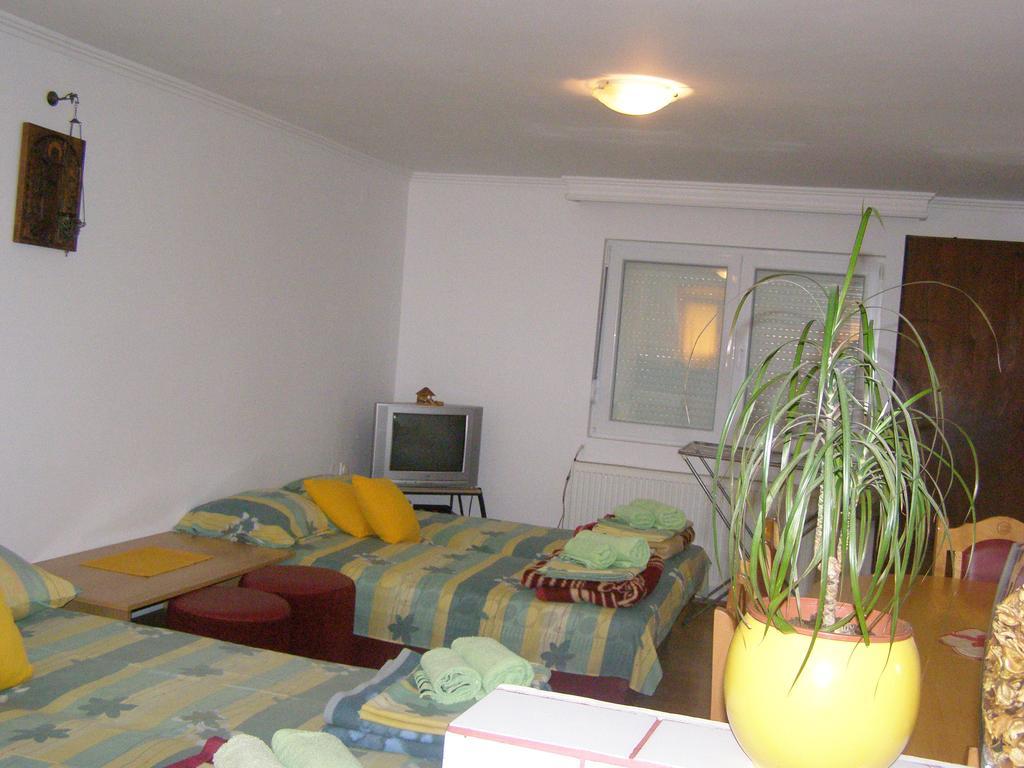 Guesthouse Kuzmanovic Guča Zewnętrze zdjęcie