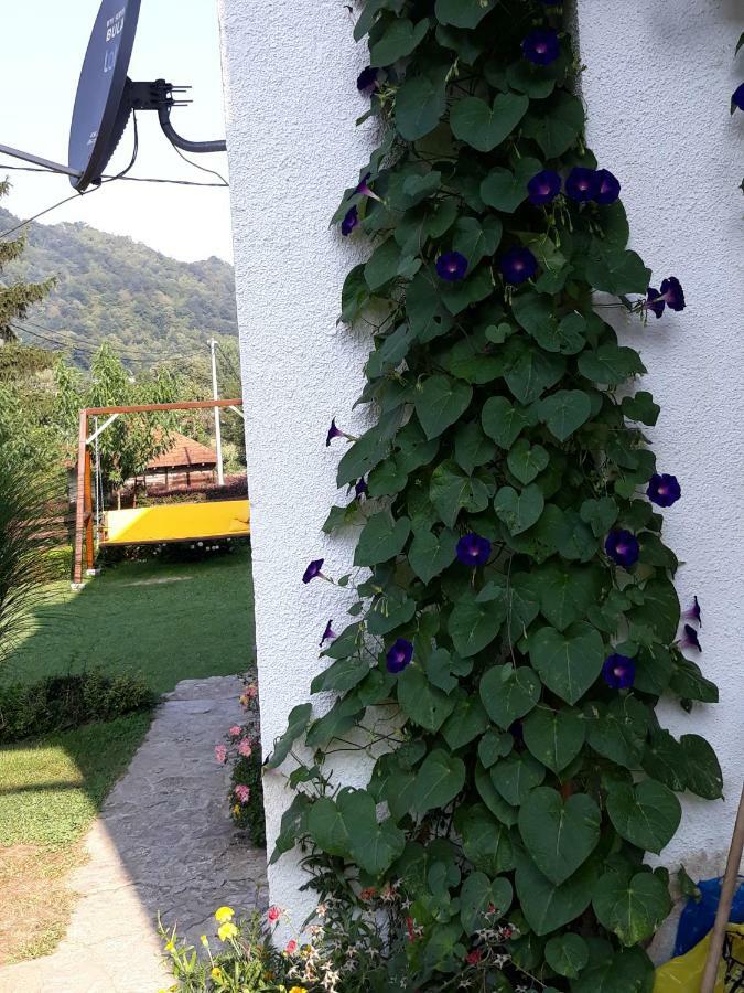 Guesthouse Kuzmanovic Guča Zewnętrze zdjęcie