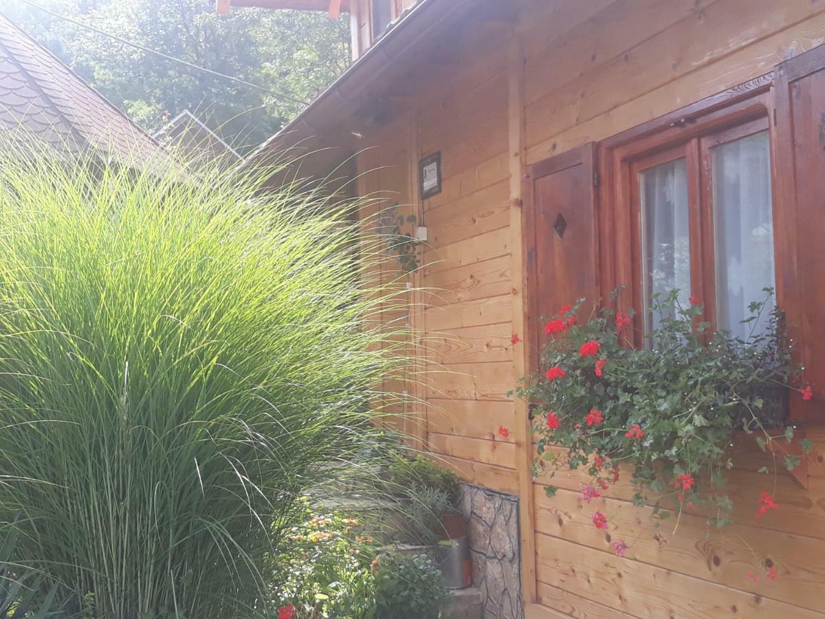 Guesthouse Kuzmanovic Guča Zewnętrze zdjęcie