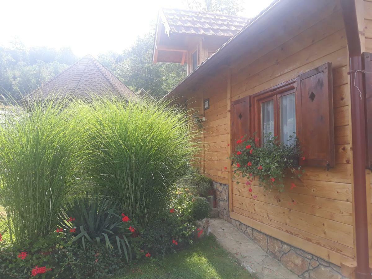Guesthouse Kuzmanovic Guča Zewnętrze zdjęcie