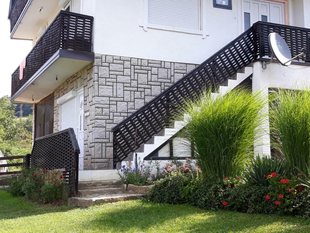 Guesthouse Kuzmanovic Guča Zewnętrze zdjęcie